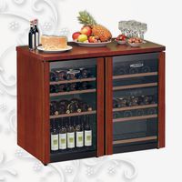 ШКАФ ВИННЫЙ TECFRIGO EUROWINE 220